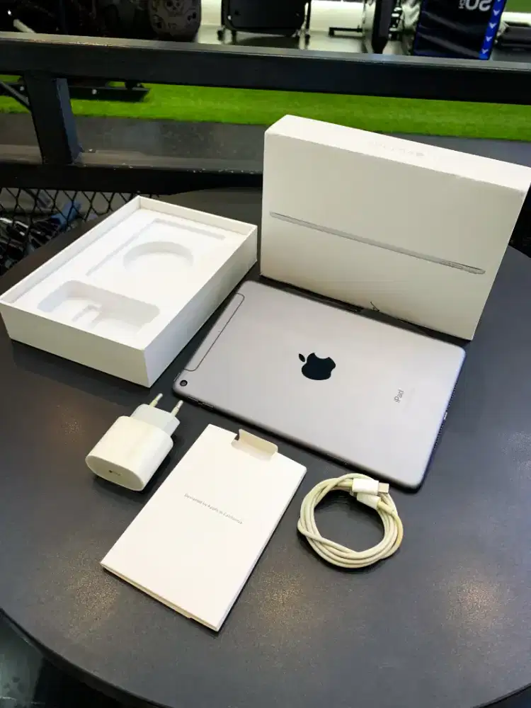 iPad Mini 5 Wifi Cellular 256GB fullset MULUS NOMINUS!