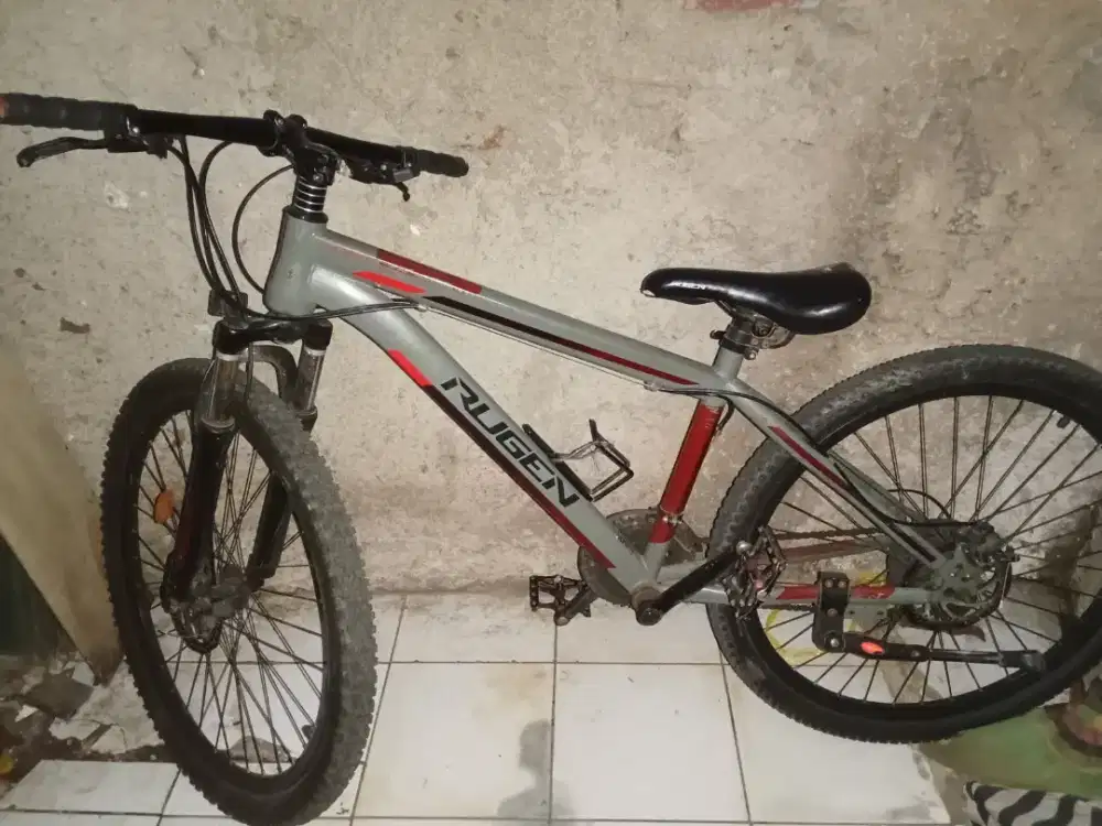 Sepedah RUGEN BINZ