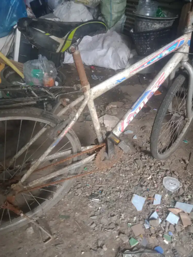 Di jual sepeda gunung merek terex