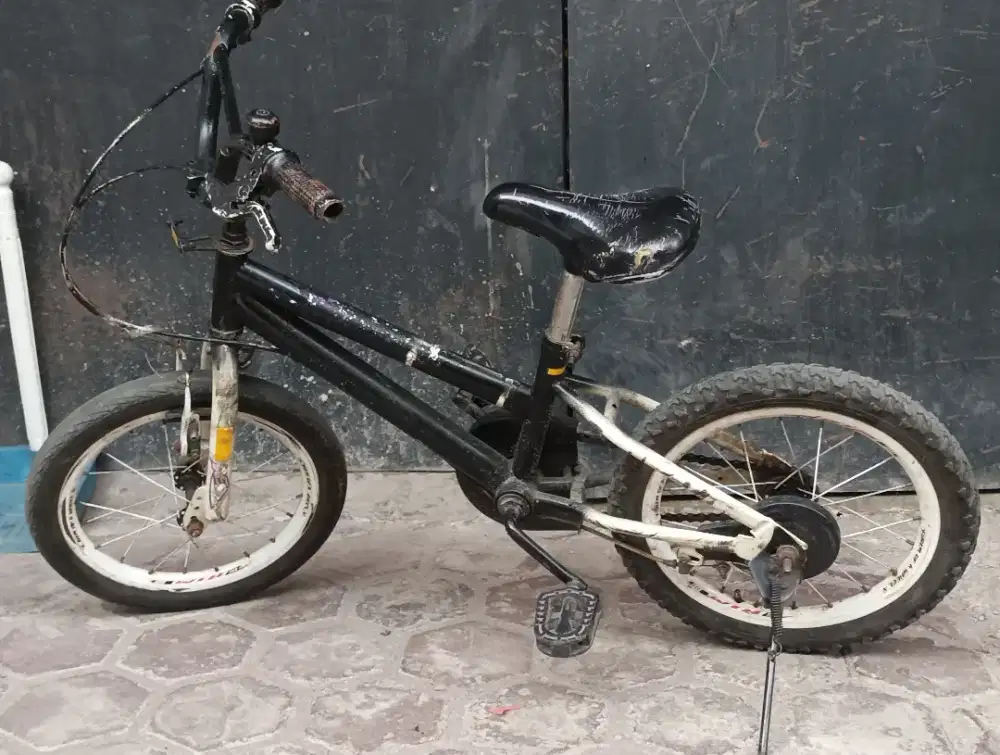 Sepeda Anak Genio Ukuran 16 inci roda dua atau empat