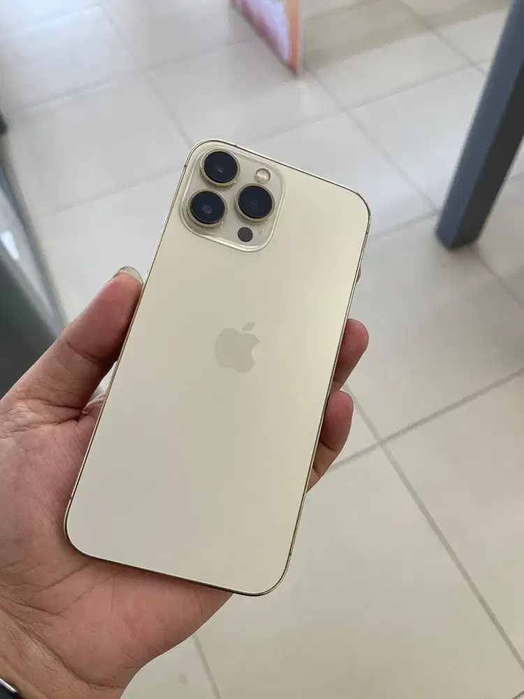 Iphone 13 Pro Max 256GB (SINYAL PERMANEN KEMENPERIN)