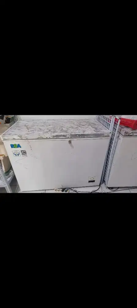 Freezer RSA 300 liter