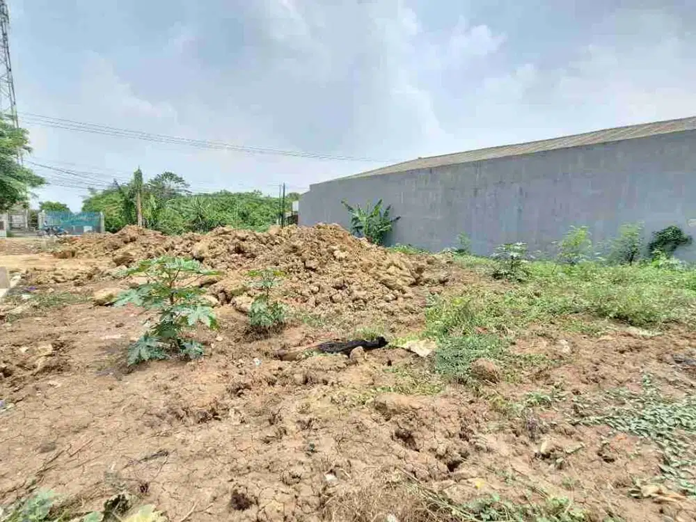 Disewakan lahan padat harga sangat murah di Babelan Bekasi