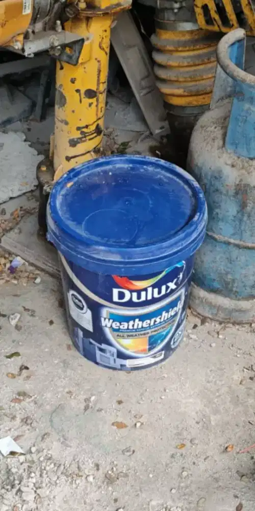 cat Dulux Weathershield