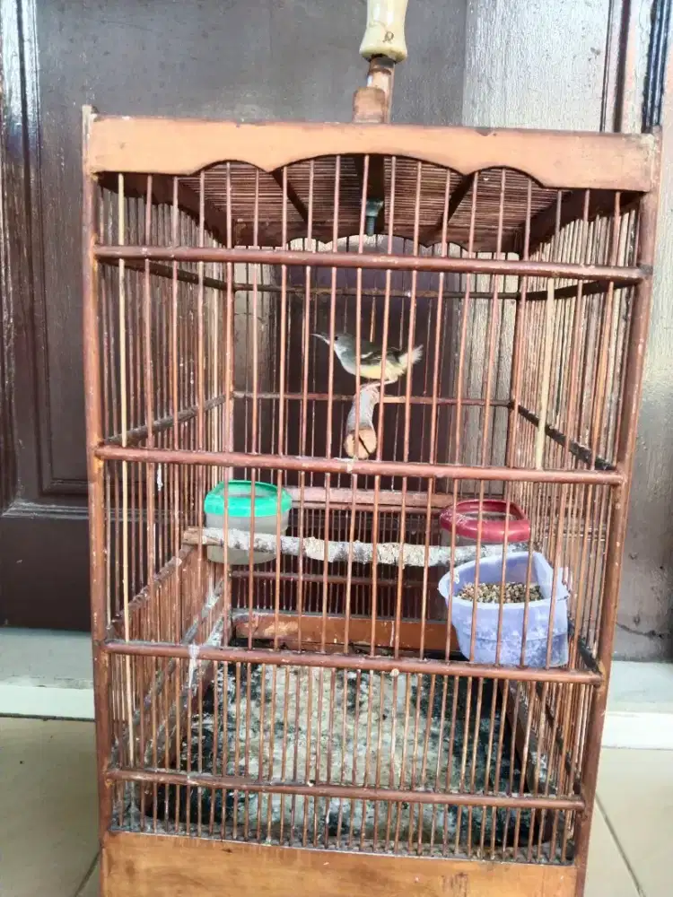 Berniaga Prenjak Putih