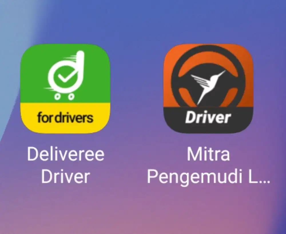 Driver Pickup Kecil Lalamove deliveree