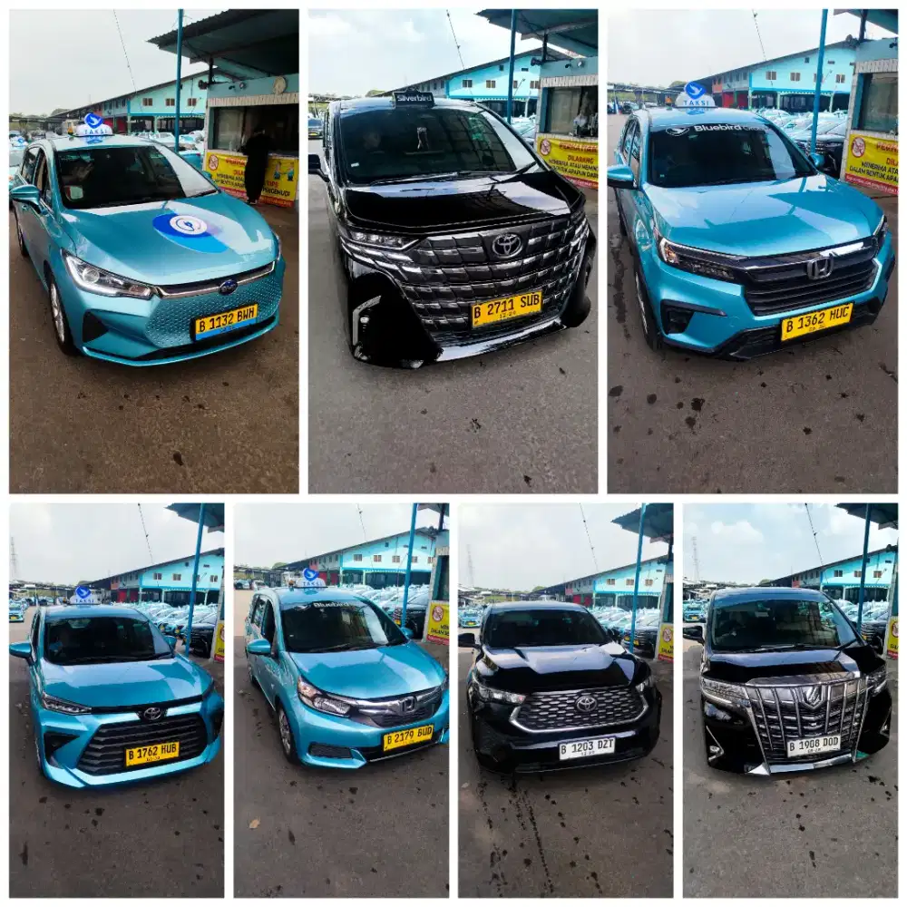 Loker driver blue bird