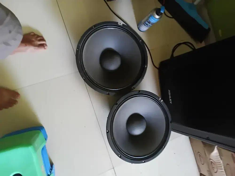 Speaker cabutan ashley 15