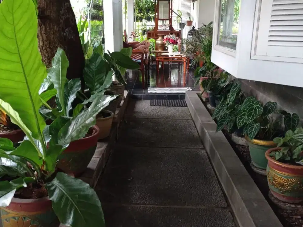 Dijual Villa 2 Lantai Bagus Nyaman Siap Pakai Lokasi di Delima Jakarta Selatan