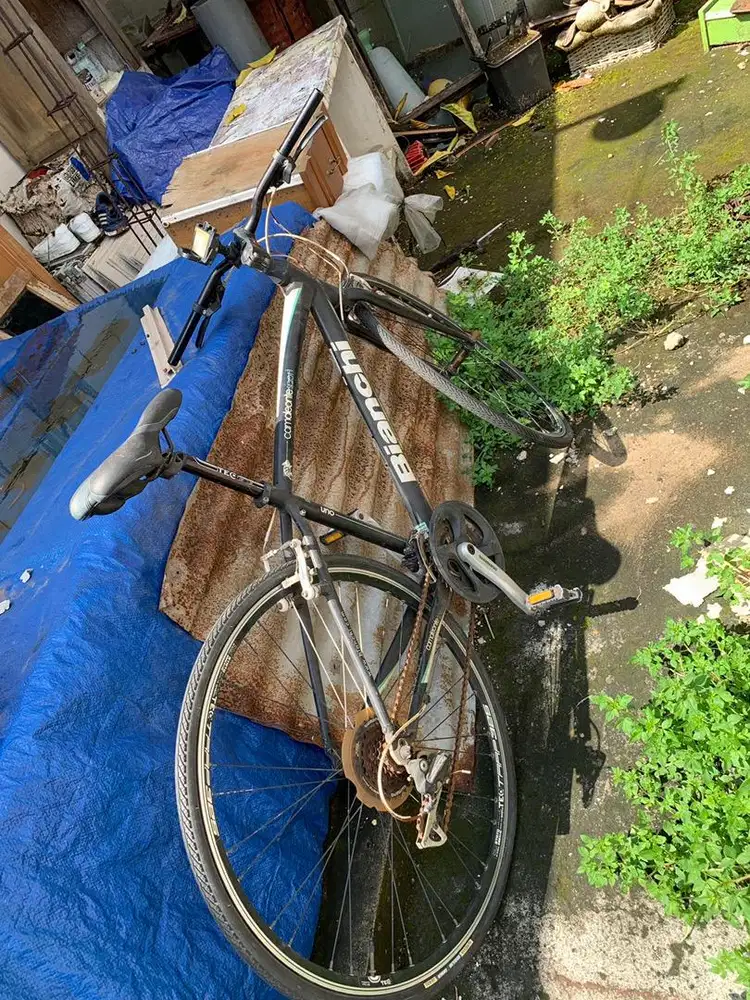 Bianchi camaleonte sport