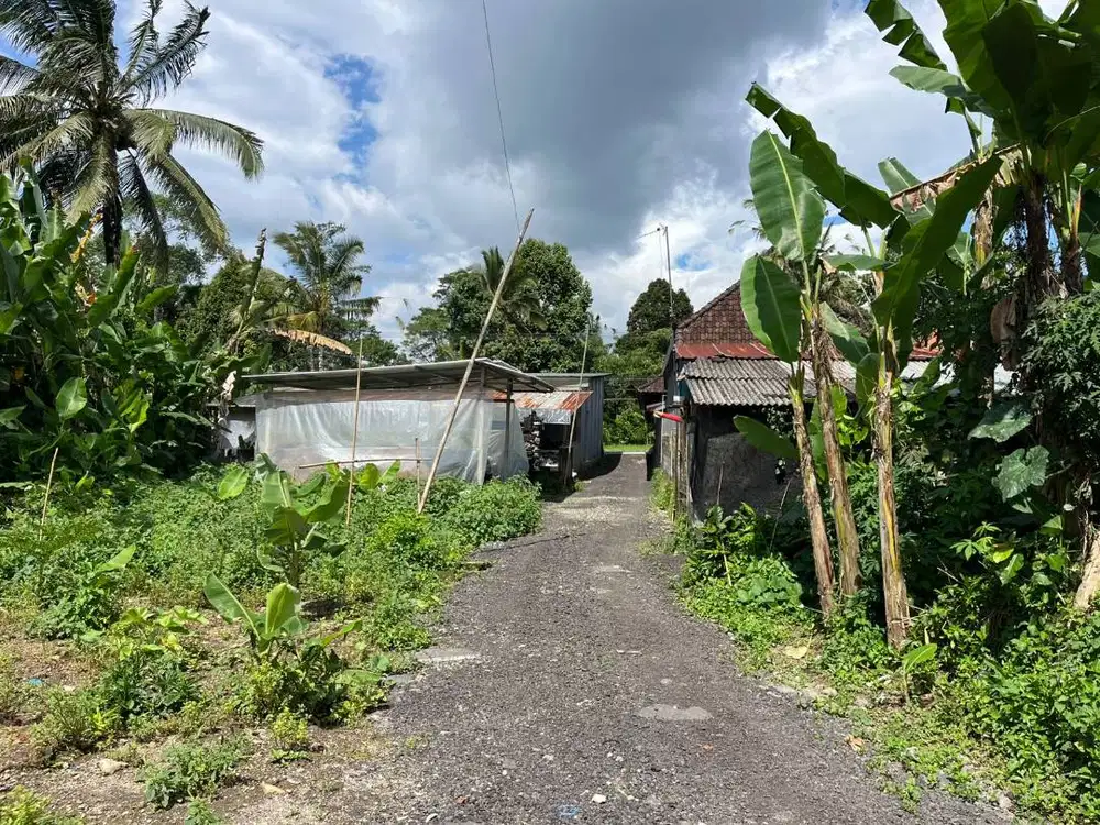 BUC Dijual Tanah 380 m2 di Payangan Gianyar dekat resort Padma Ubud