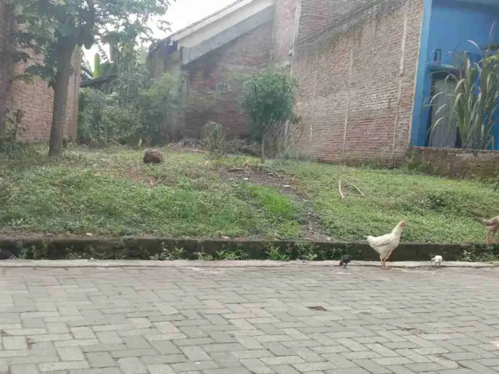 Kapling murah strategis