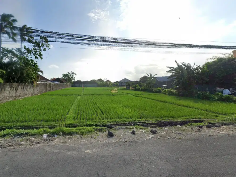 Tanah 27,5 Are Lokasi Strategis Disewakan, di Area Mudutaki Dalung