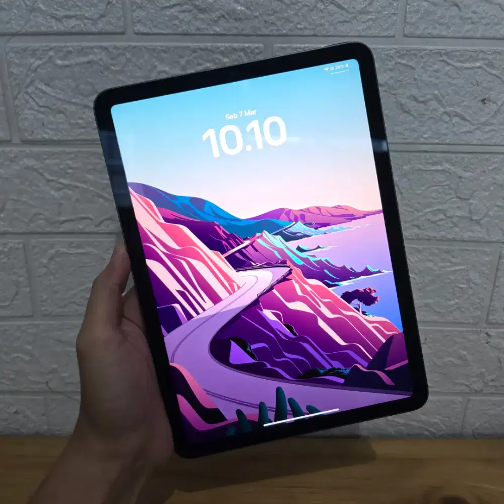 iPad Air 5 M1 256GB WiFi Only 2022 Gen 5 Mulus Apple Tablet