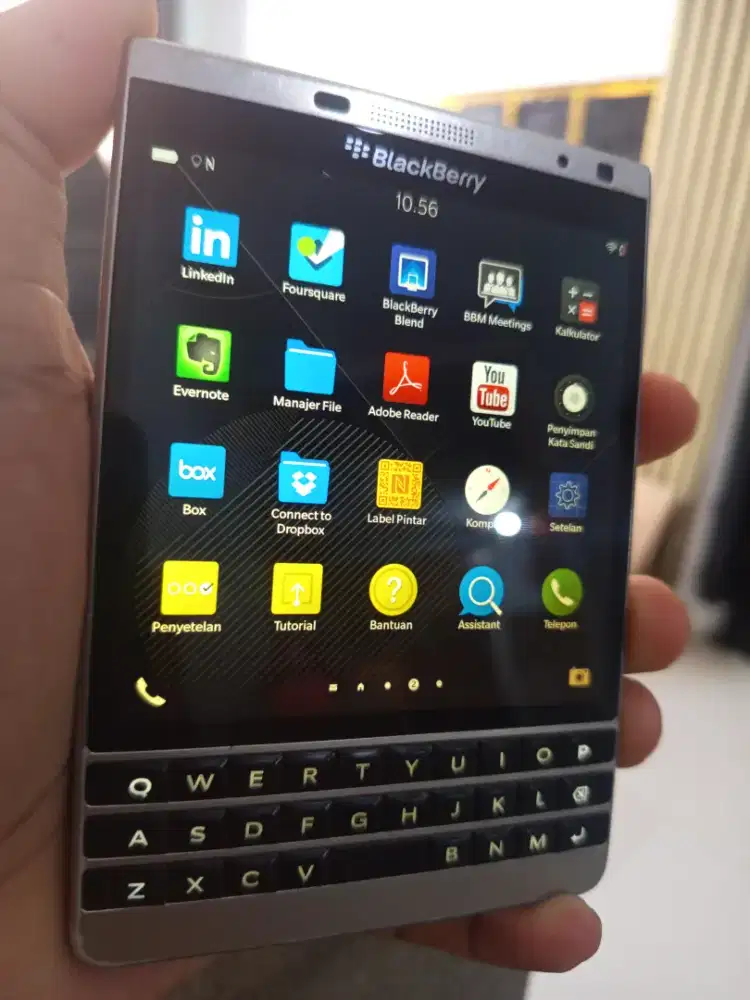Blackberry pasport