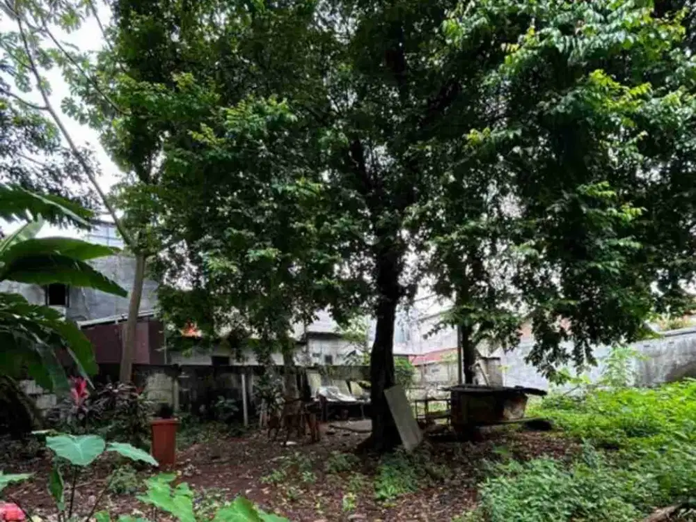 di jual tanah Luas dan murah