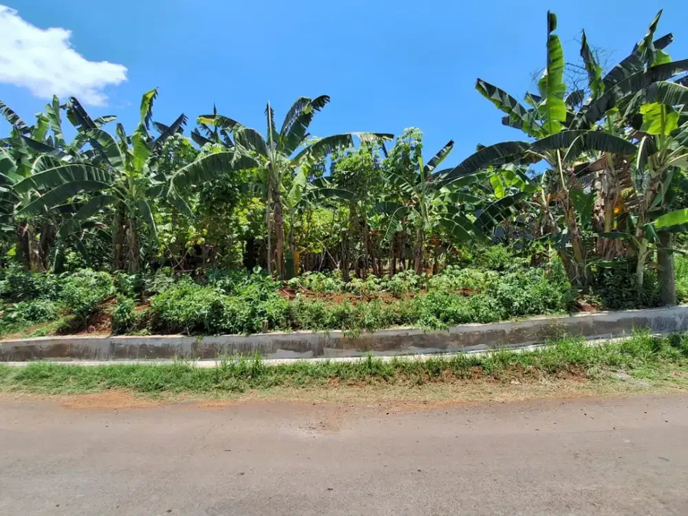 Tanah murah pinggir jalan raya Gebyok Unnes patemon gunungpati