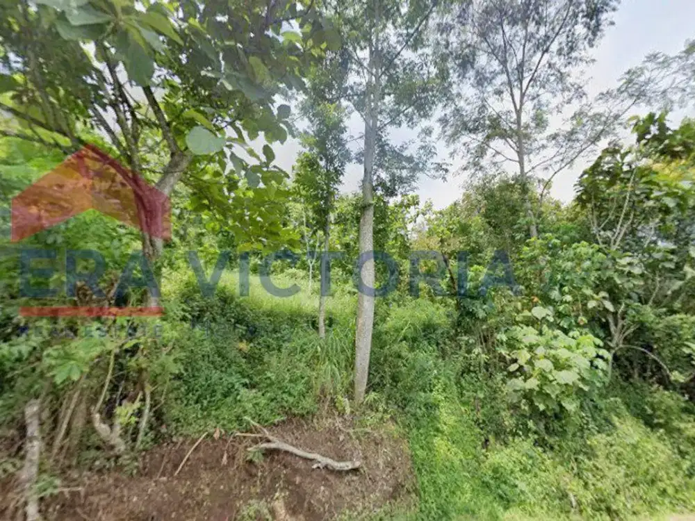 Tanah Area Bandulan View Pegunungan Cocok Peternakan Ayam & Perkebunan