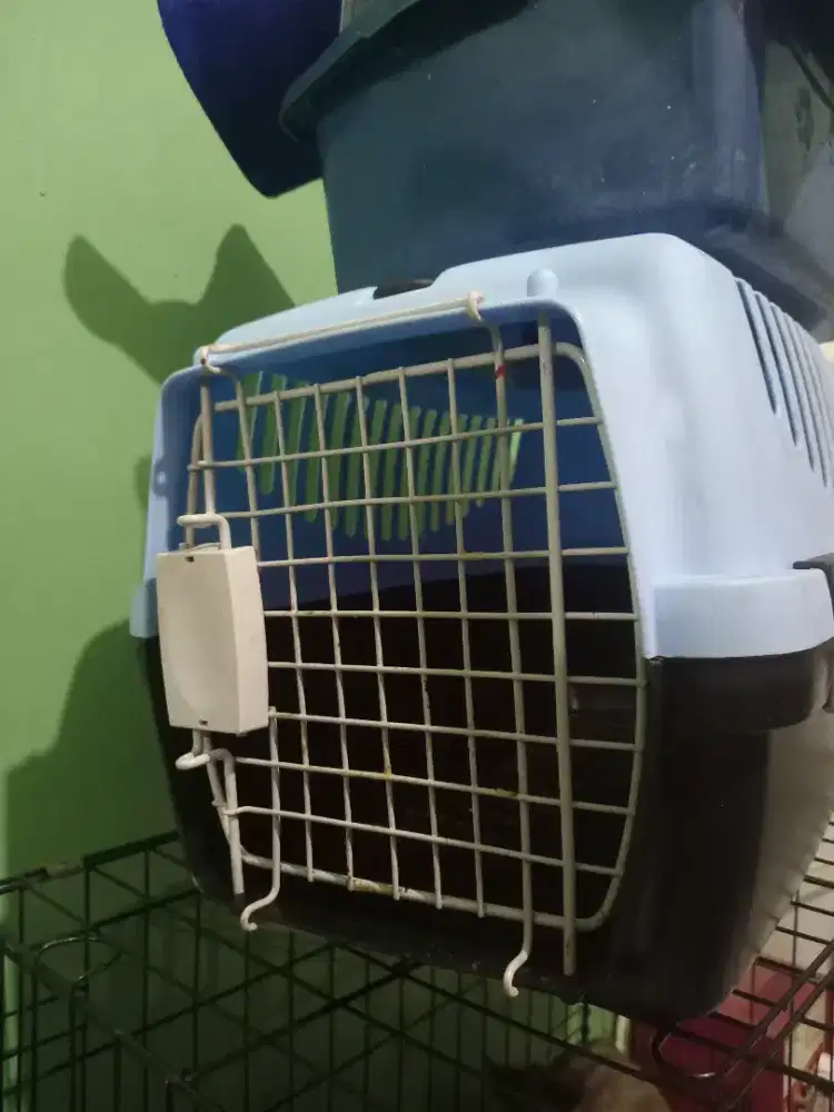 Per Cargo bonus pandan