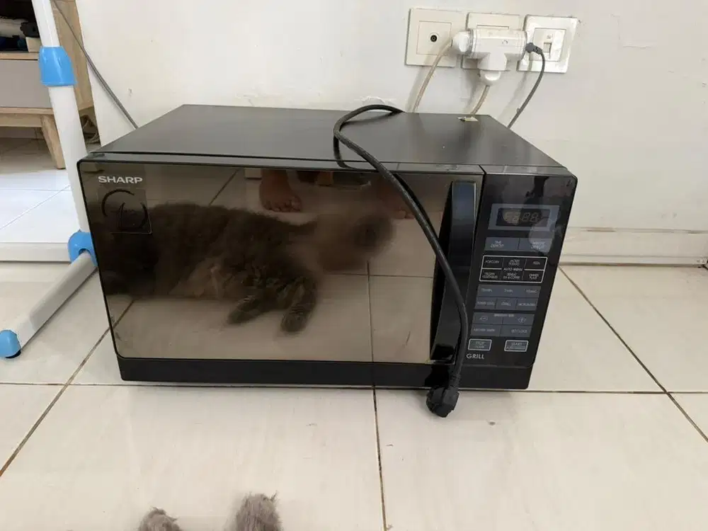 Microwave Sharp Tidak Bisa Nyala