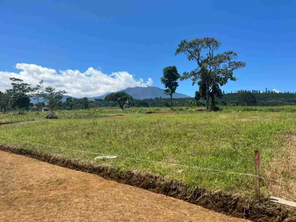 Tanah Siap Bangun Luas 703 M² Dekat Jalan Raya Puncak