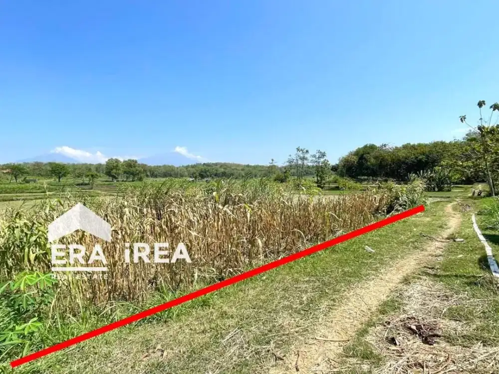 TANAH MURAH DIJUAL DI SOLO BARAT DEKAT PASAR SAMBI DAN RSUD SIMO