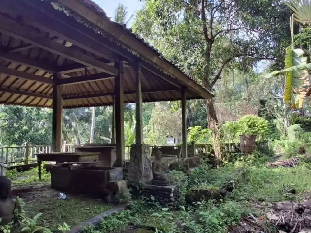 Tanah Komersil 84,43 Are Dijual, di Area Singapadu Tengah Ubud