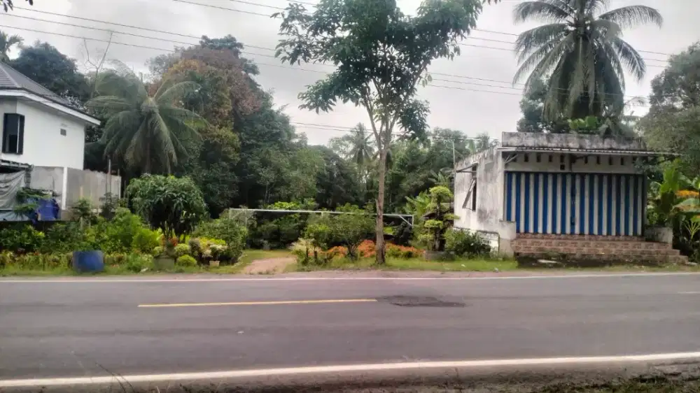 Jual Cepat Tanah 2.280 m² Pinggir Jalan Provinsi Indralaya Selatan SHM