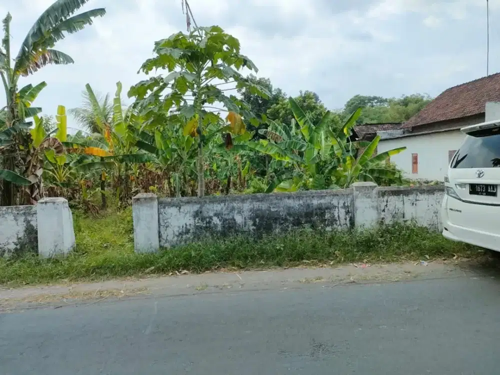 Jual Tanah Bloran Canggu kec badas rokib sekoto kediri jatim