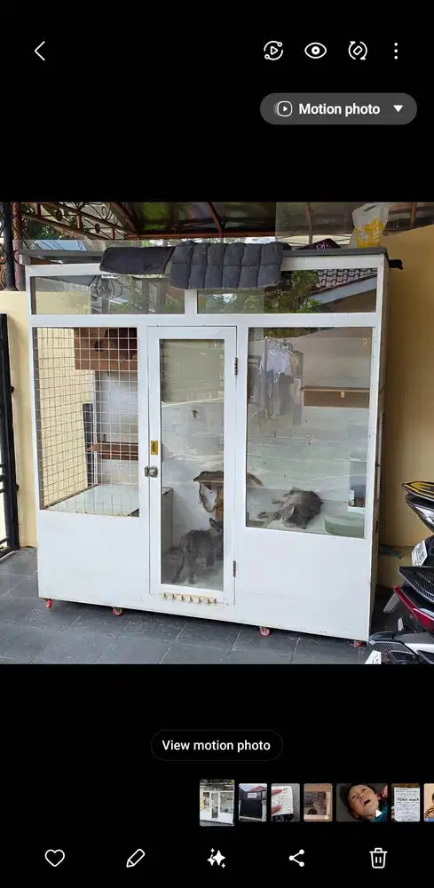 Kandang kucing besar