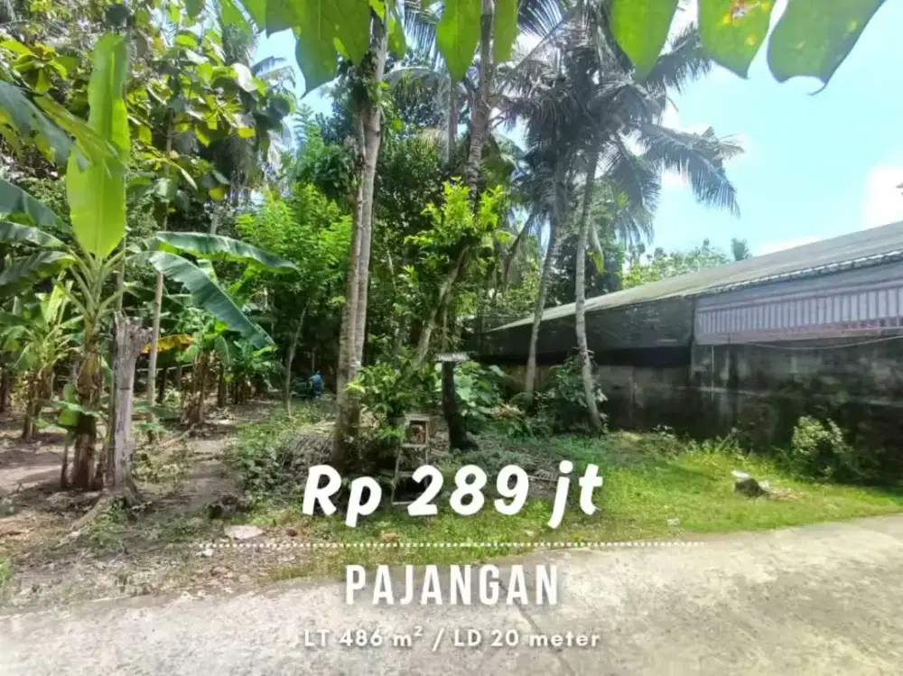 Dijual Tanah Murah dekat Jalan Pajangan