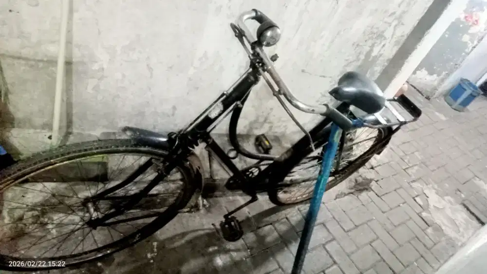 Sepeda kebo antik (orian)