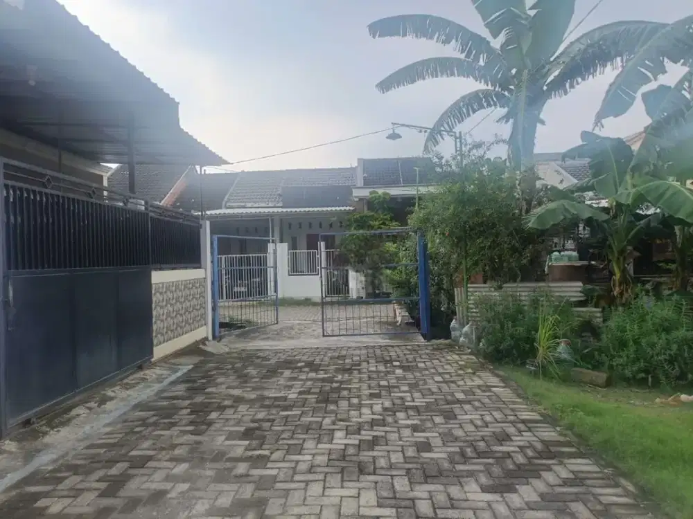 Rumah Baru 1 Lantai Di Wonorejo Selatan Baru Surabaya