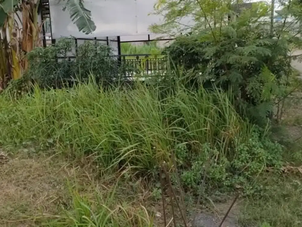 Jual Tanah Kapling Desa Bringin Perum Bringin Indah Persada, Sekoto Kediri Jatim