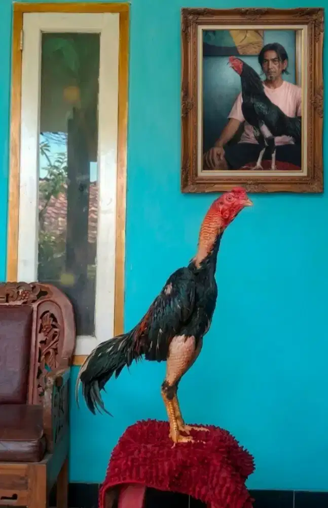 Ayam Bangkok klasik