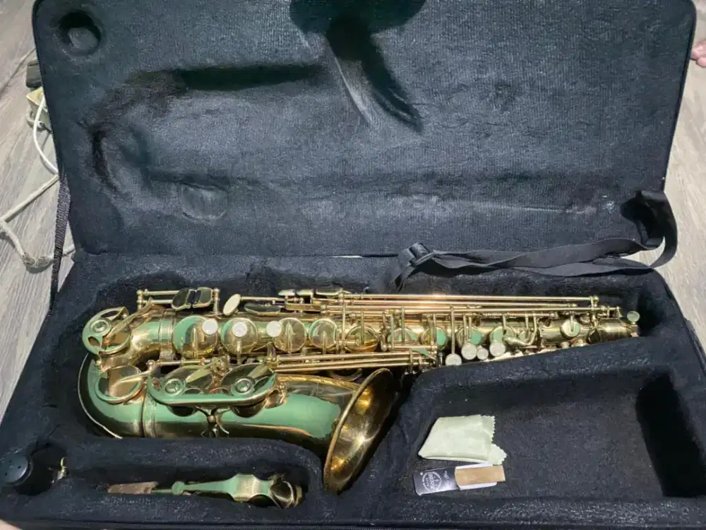 Saxophone Alto Paladin gold