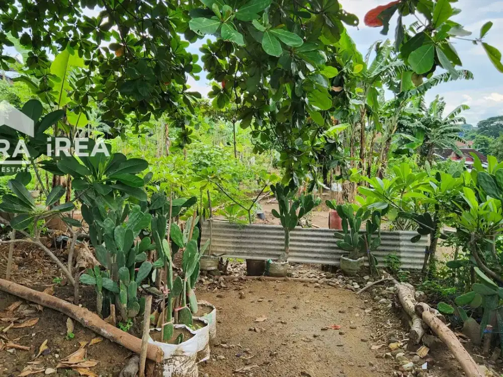 TANAH DIJUAL DI SOLO DEKAT PASAR MOJOSONGO