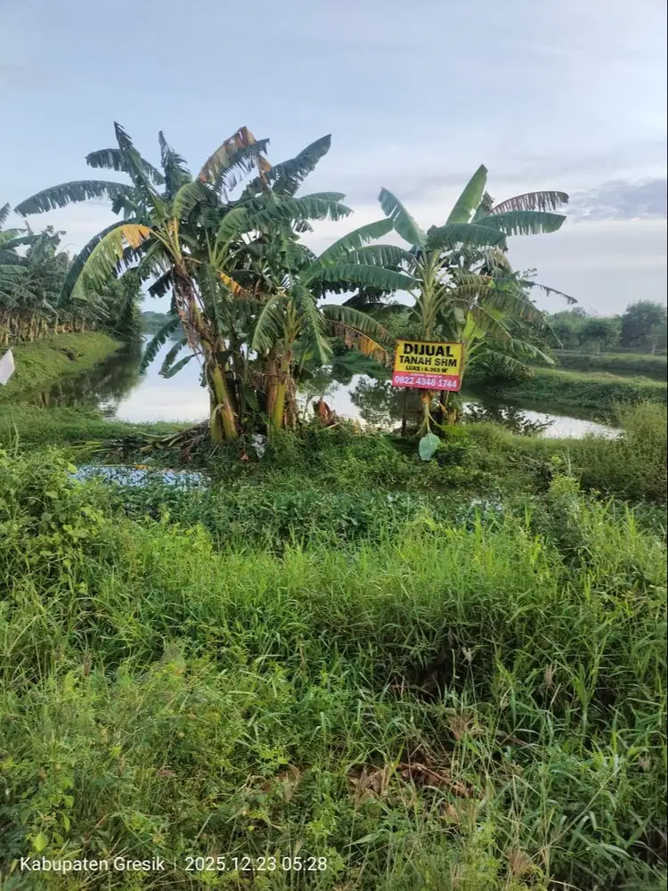 Tanah / Tambak Strategis