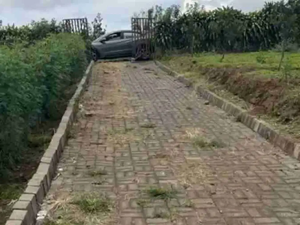 DIJUAL TANAH PERKEBUNAN BUAH DAN BUNGA