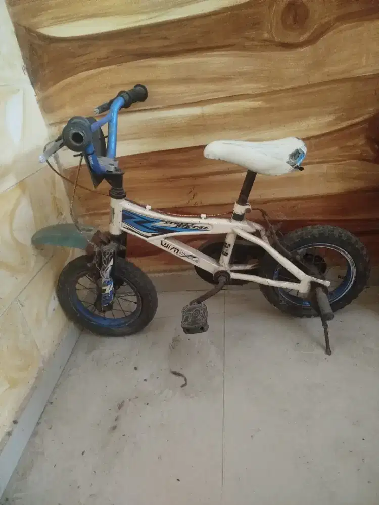 Dijual sepeda anak 5th kebawah
