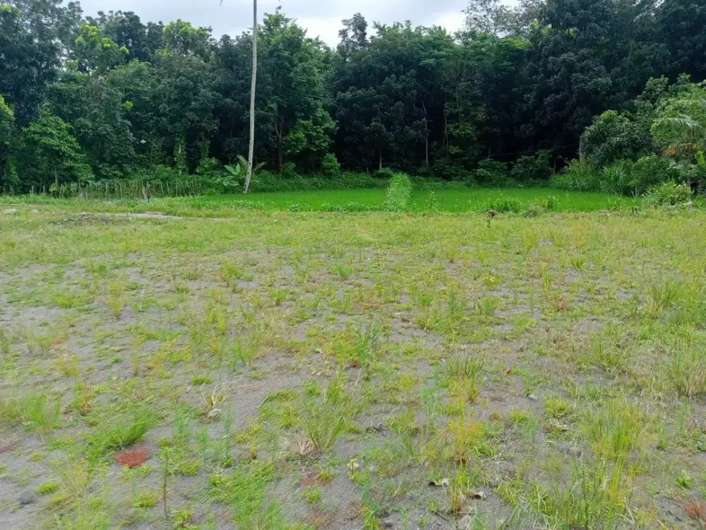 Tanah Jakal Dibawah 2,5 jt/m2 Lokasi Strategis Dekat Kampus UII