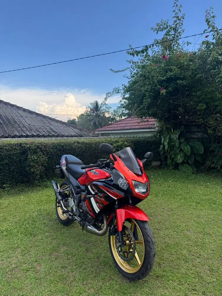 Kawasaki Ninja Rr Se