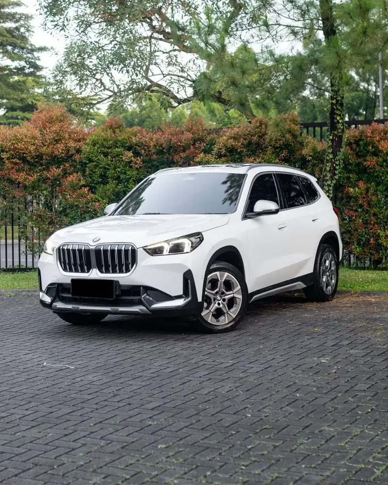 BMW X1 sDrive18i xLine U11