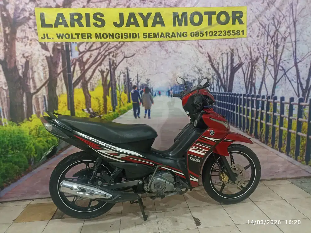 Yupiter F1 palek reseng asli