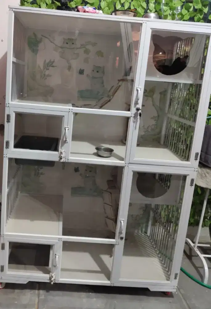 Kandang Kucing bekas