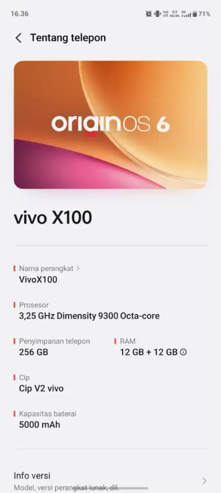 Vivo X100 ram 2