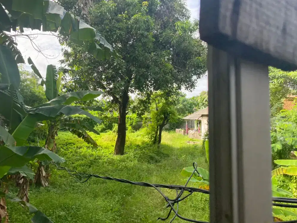 Jasa rawat binatang peliharaan