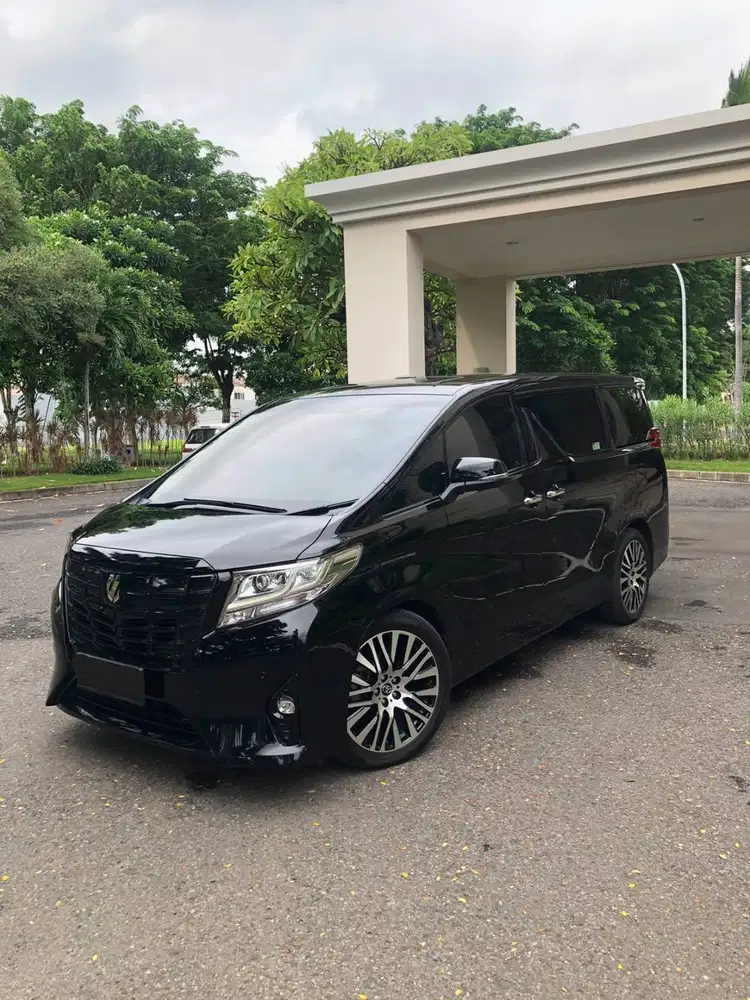 Alphard G 2017 KM 29rb Antik