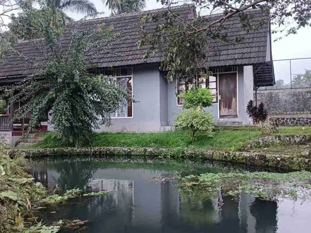 di jual villa dan kebun berikut ada sumbeata air di Cicurug Sukabumi