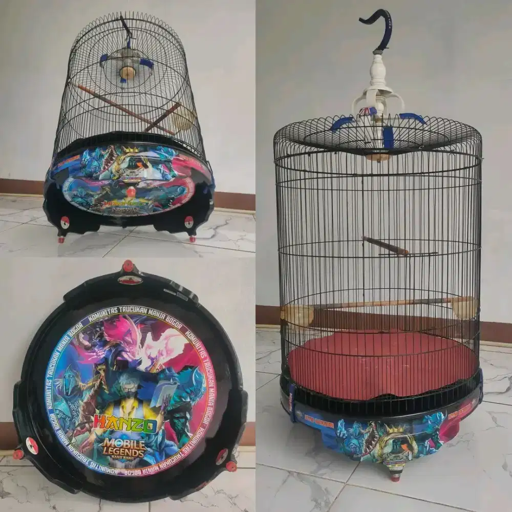 Jalak suren jawa fulset kandang murai